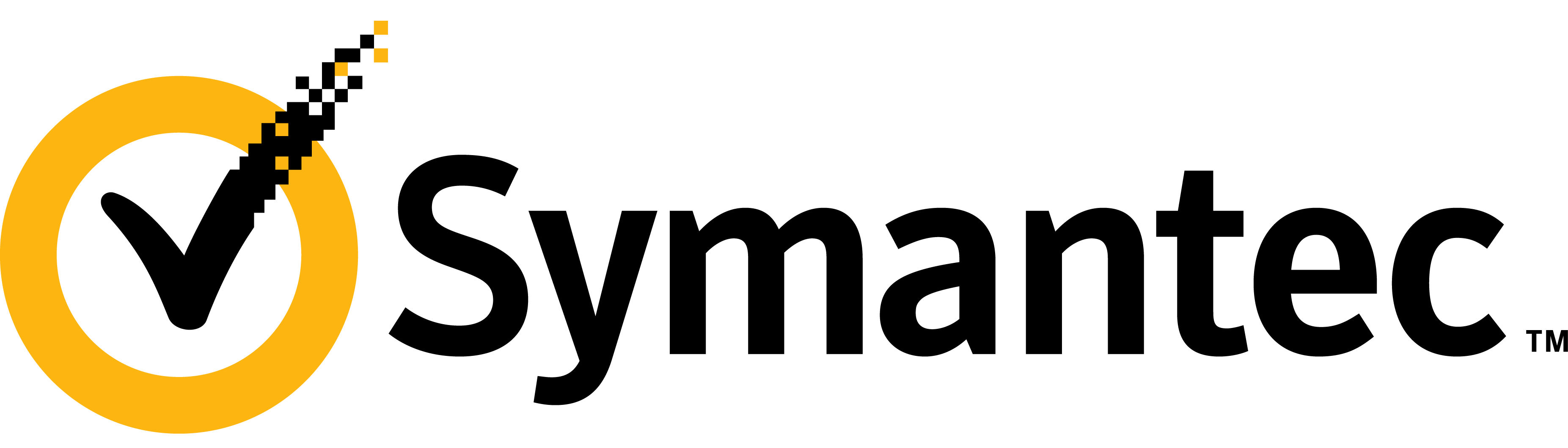 Symantec Logo